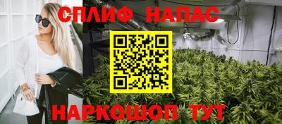 крисы Малгобек