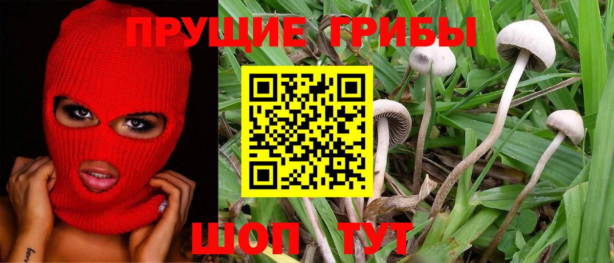 Галлюциногенные грибы Magic Shrooms  Галлюциногенные грибы Cubensis  Вход с VPN  Выборг 