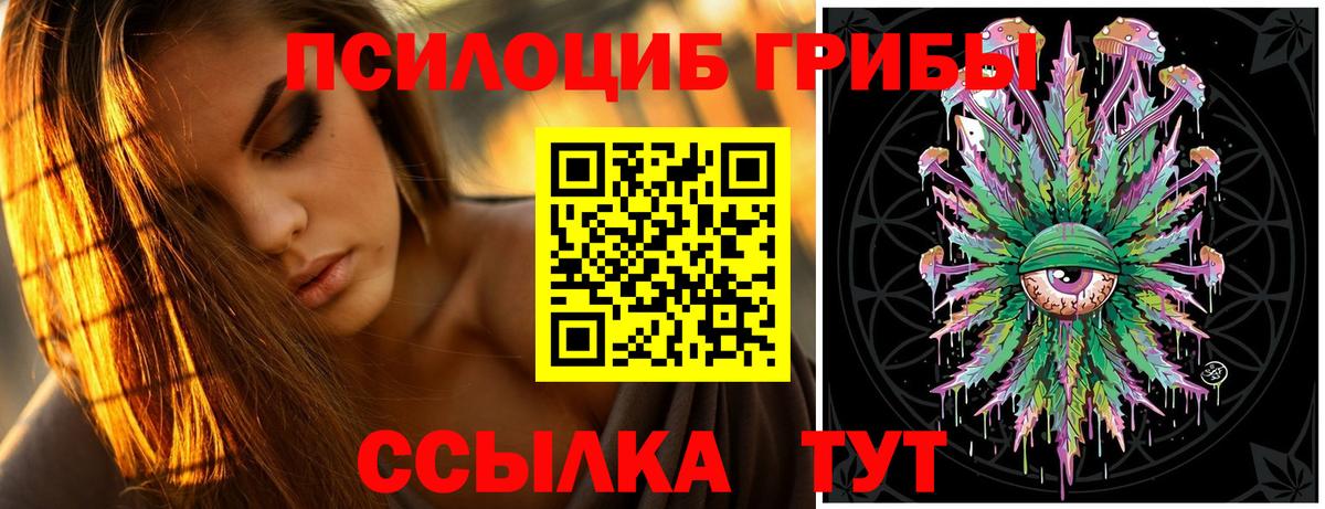 Псилоцибиновые грибы Magic Shrooms Выборг